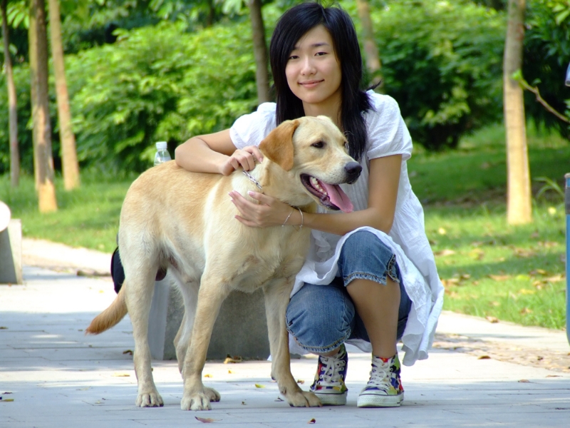 风中的绿叶的第一张照片--东莞相亲服务中心