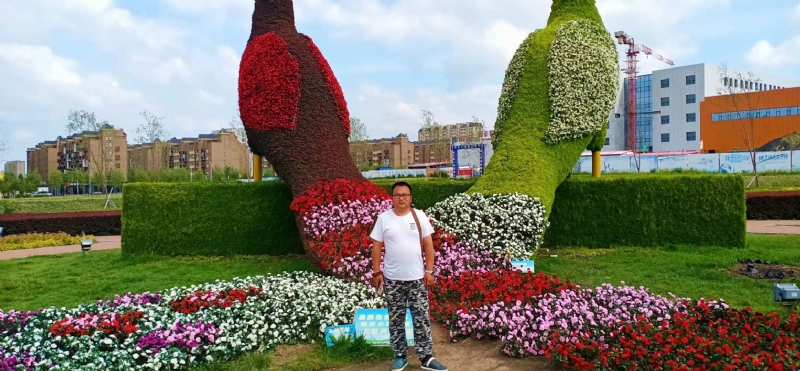 尘埃的第一张照片--东莞相亲服务中心