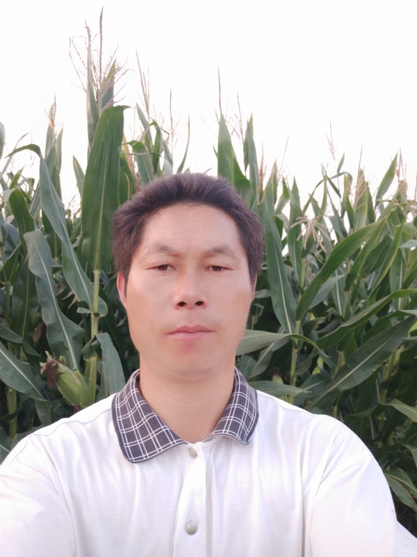 四海游龙的第二张照片--东莞相亲服务中心