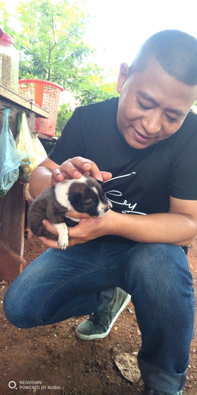 深圳相亲的第一张照片--东莞相亲服务中心