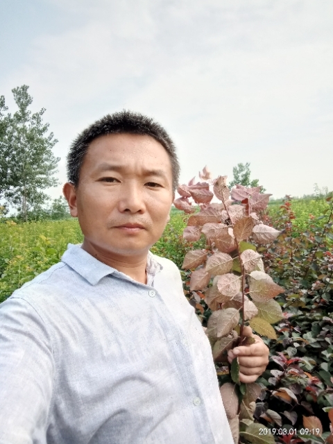 孩子爸的第一张照片--东莞相亲服务中心