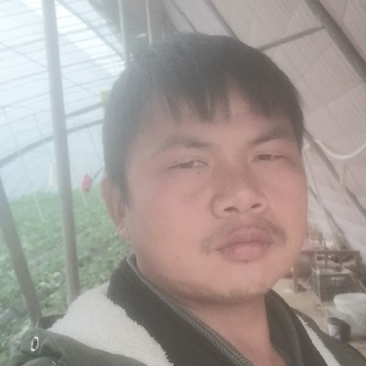 孤狼‘的第一张照片--东莞相亲服务中心