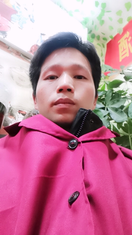 单身的林凡的第二张照片--东莞相亲服务中心