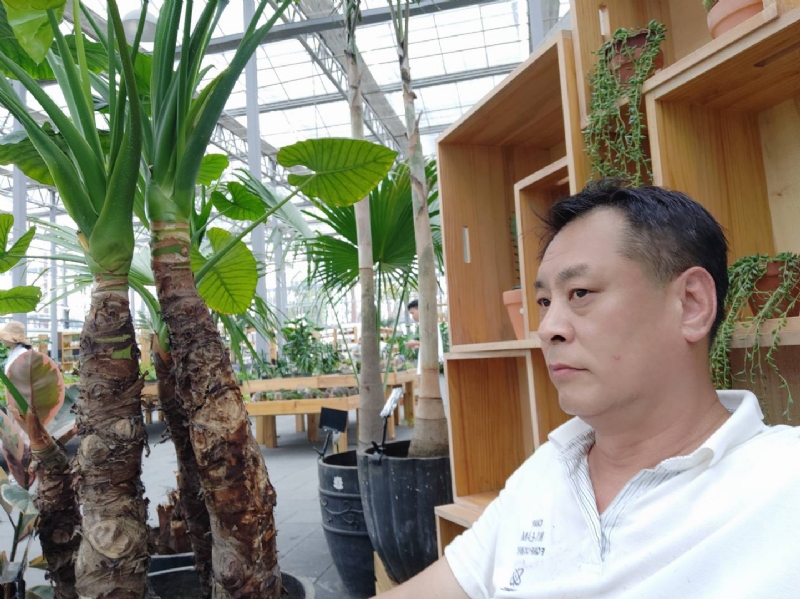 davidxy669988的第一张照片--东莞相亲服务中心