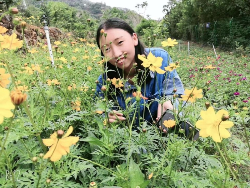 哈哈的第一张照片--东莞相亲服务中心