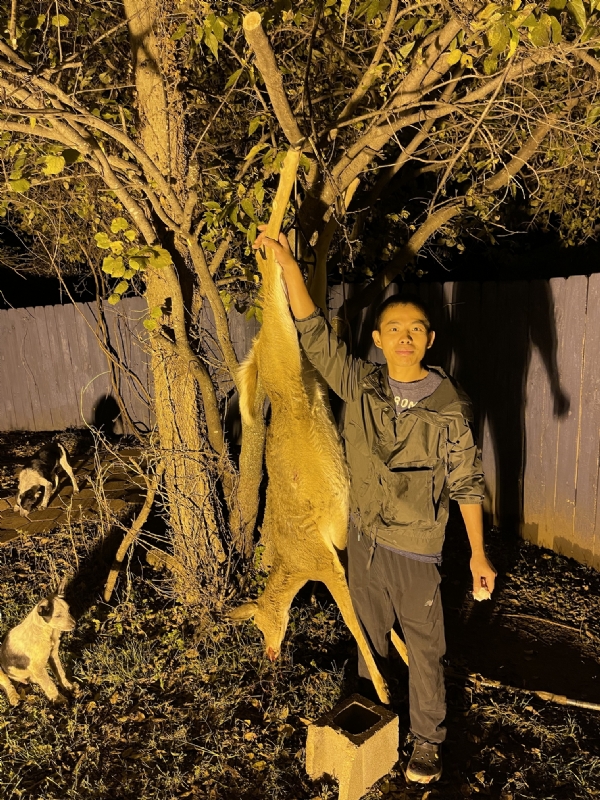 Kandy的第三张照片--东莞相亲服务中心