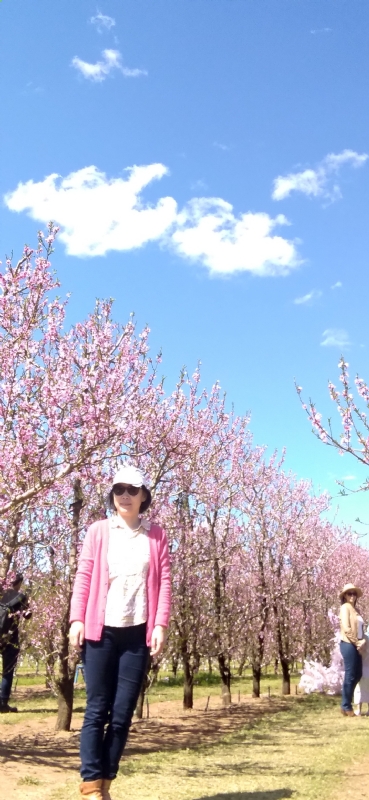 Grace的第二张照片--东莞相亲服务中心