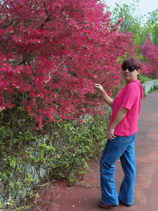 羊羊的第一张照片--东莞相亲服务中心