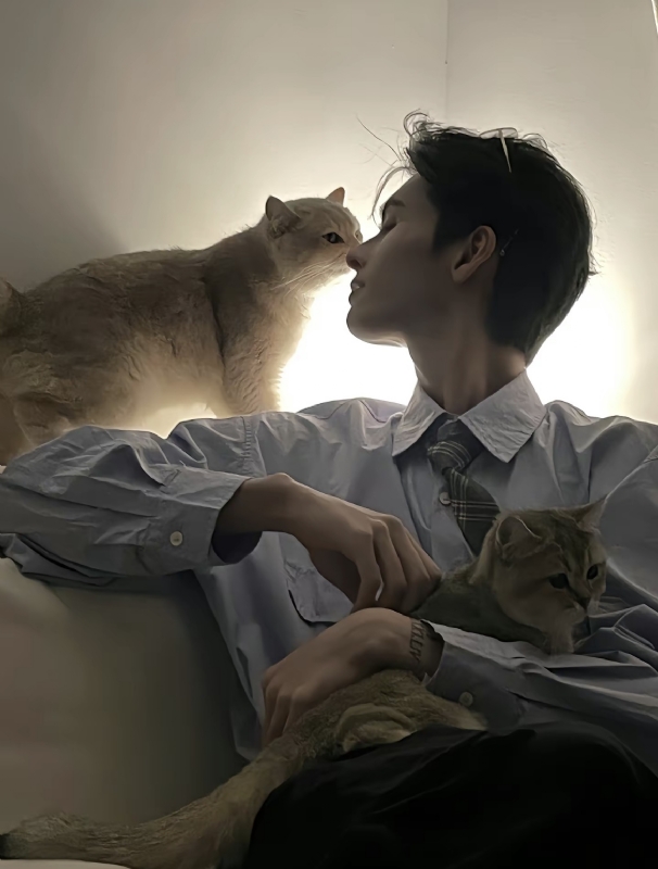 怪猫的第一张照片--东莞相亲服务中心