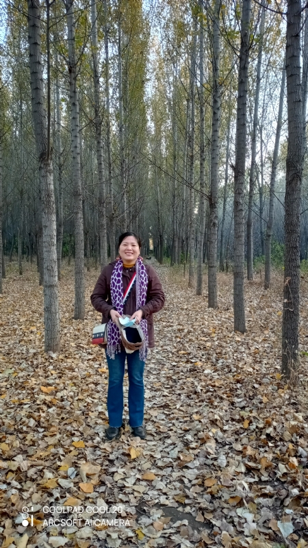 小海星的第二张照片--东莞相亲服务中心