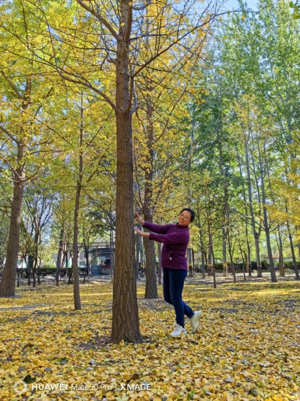 Shirley的第一张照片--东莞相亲服务中心