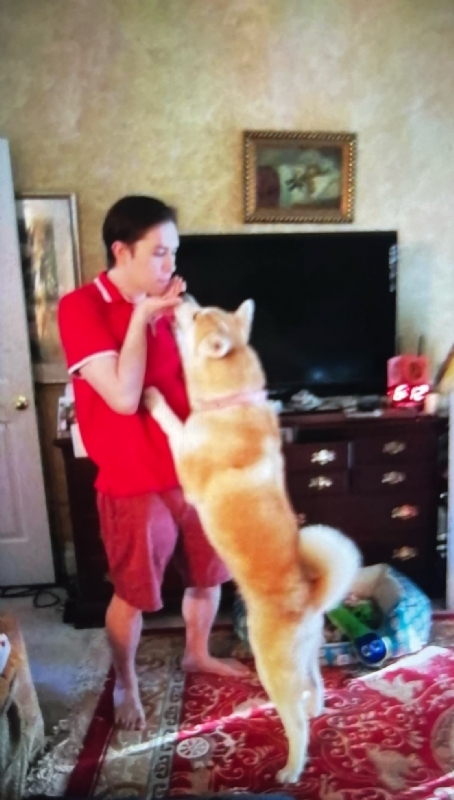 Leluch的第一张照片--东莞相亲服务中心