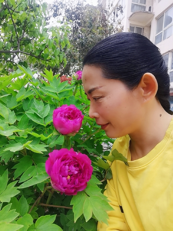 厚德载物的第一张照片--东莞相亲服务中心