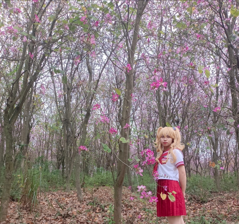 暮秋的第四张照片--东莞相亲服务中心