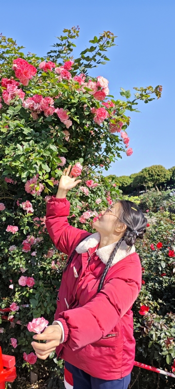 狗狗的第一张照片--东莞相亲服务中心