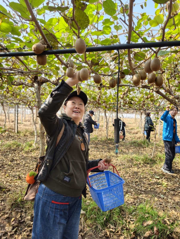 夜莺的第三张照片--东莞相亲服务中心